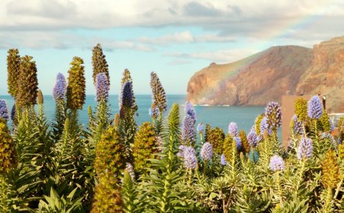 Madeira, Portugal