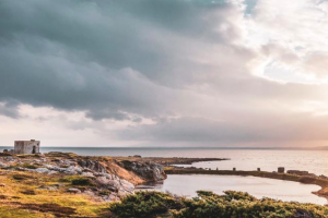 Torekov Hotel - natur nær hotellet