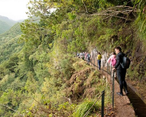 Levada do Rei FNC.
