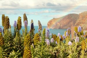 Madeira, Portugal
