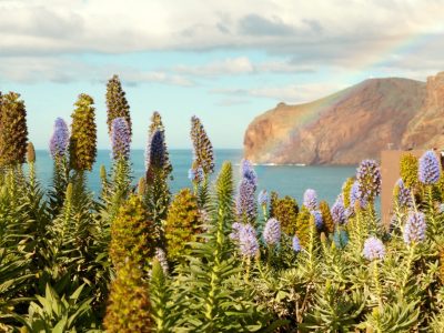 Madeira, Portugal